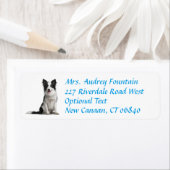 Border Collie Puppy Dog Retouradres Label (Insitu)