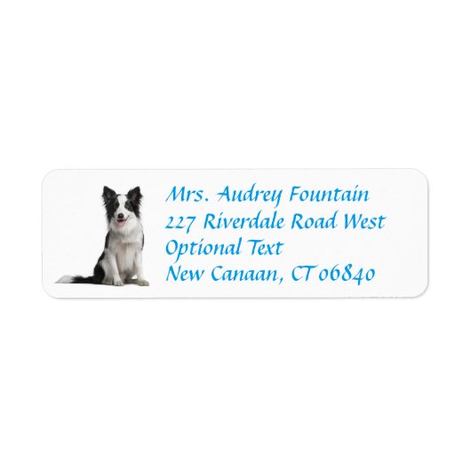 Border Collie Puppy Dog Retouradres Label (Voorkant)