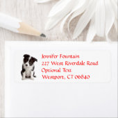 Border Collie Puppy Dog Retouradres Naam Label (Insitu)