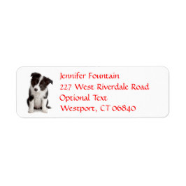 Border Collie Puppy Dog Retouradres Naam Label