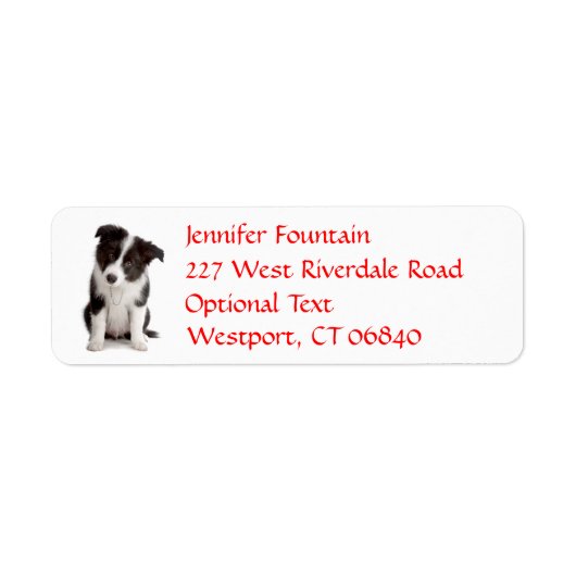 Border Collie Puppy Dog Retouradres Naam Label (Voorkant)