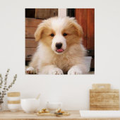 Border Collie Puppy~Golden Oz Red Poster (Keuken)