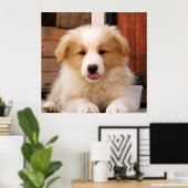 Border Collie Puppy~Golden Oz Red Poster (Thuiskantoor)