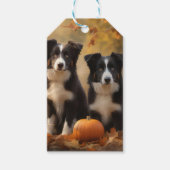 Border Collie Puppy Herfst Delight Pompoen Cadeaulabel (Voorkant)