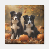 Border Collie Puppy Herfst Delight Pompoen Magneet (Voorkant)