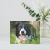 Border Collie Puppy Hond - Blank Briefkaart (Staand voorkant)