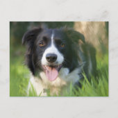 Border Collie Puppy Hond - Blank Briefkaart (Voorkant)