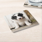 Border Collie Puppy Kartonnen Onderzetters (Schuin)