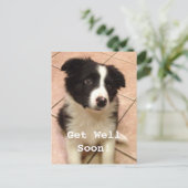 Border Collie Puppy Krijg Goed Briefkaart (Staand voorkant)