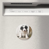 Border Collie Puppy Magneet (Insitu (Vaatwasser))
