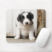 Border Collie Puppy Muismat (Met muis)