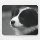 Border Collie Puppy Muismat (Voorkant)