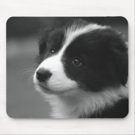 Border Collie Puppy Muismat