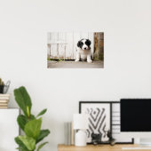 Border Collie Puppy Poster (Thuiskantoor)