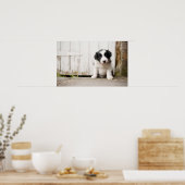 Border Collie Puppy Poster (Keuken)