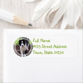 Border Collie Puppy Retouradres Label (Insitu)