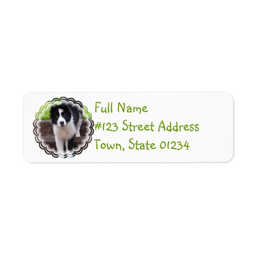 Border Collie Puppy Retouradres Label (Voorkant)
