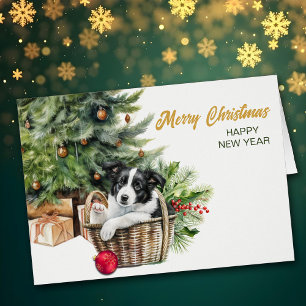 Border Collie Puppy Rieten Mand Kerstmis