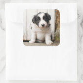 Border Collie Puppy Vierkante Sticker (Tas)