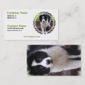 Border Collie Puppy Visitekaartje (Voorkant / Achterkant)