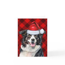 Border Collie Red Buffalo speelde Kerstmis