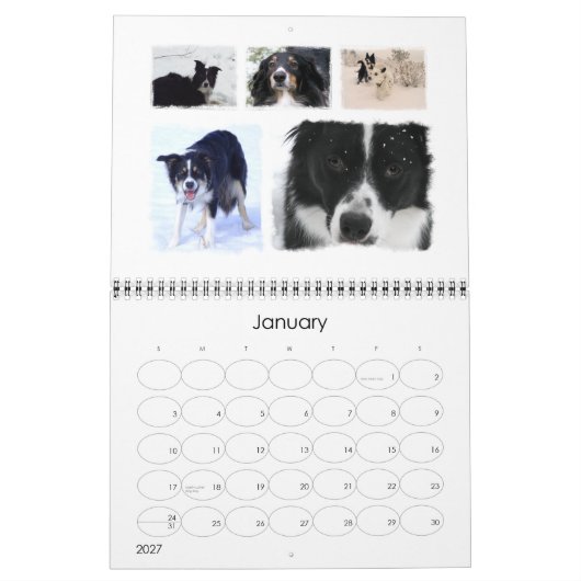 Border Collie Rescue 2008 Kalender (Jan 2027)