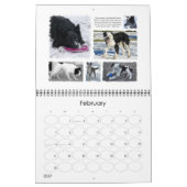 Border Collie Rescue 2008 Kalender (Feb 2027)