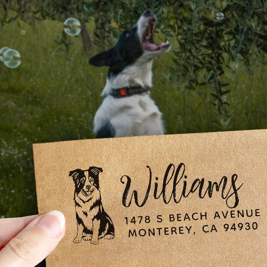Border Collie Retouradres Hondeneigenaar Rubberstempel