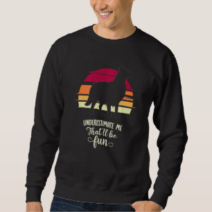 Border Collie Retro Premium 1 Trui