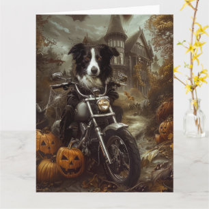Border Collie Riding Motorfiets Halloween Eng Kaart