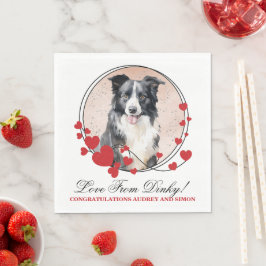 Border Collie Rode Hart Krans Hond Foto Servet