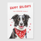 Border Collie Rode Harten Sjaal Kerstkaarten (Voorkant)
