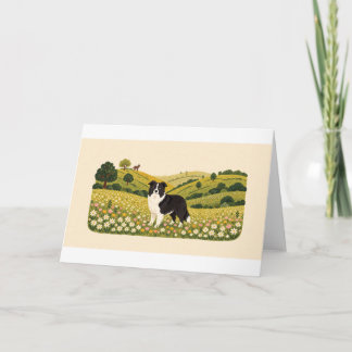 Border Collie Rollende Heuvels Weide Wenskaart Kaart