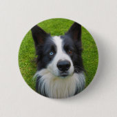 Border Collie Ronde Button 5,7 Cm (Voorkant)