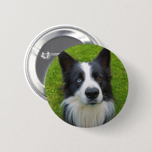 Border Collie Ronde Button 5,7 Cm (Voorkant /achterkant)