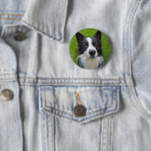 Border Collie Ronde Button 5,7 Cm (In situ)