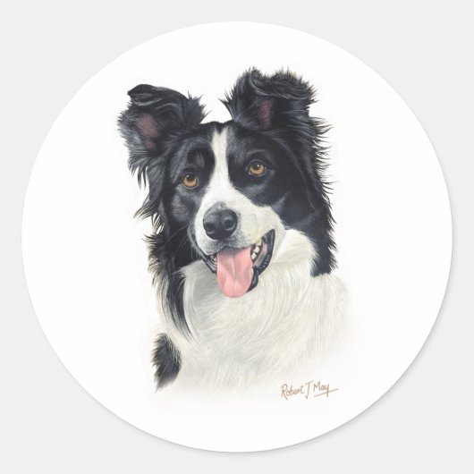 Border Collie Ronde Sticker (Voorkant)
