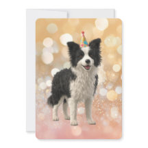 Border Collie Schapendoes