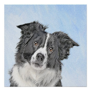 Border Collie Schilderij - Mooie Originele Honden  Perfect Poster