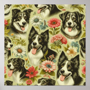 Border Collie schilderij Poster