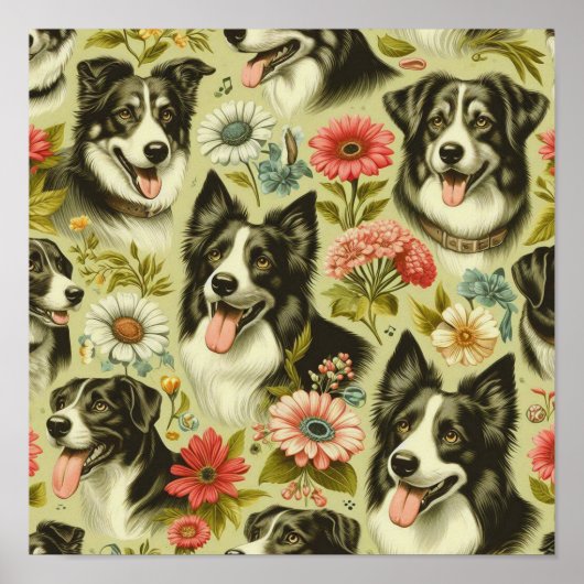 Border Collie schilderij Poster (Voorkant)