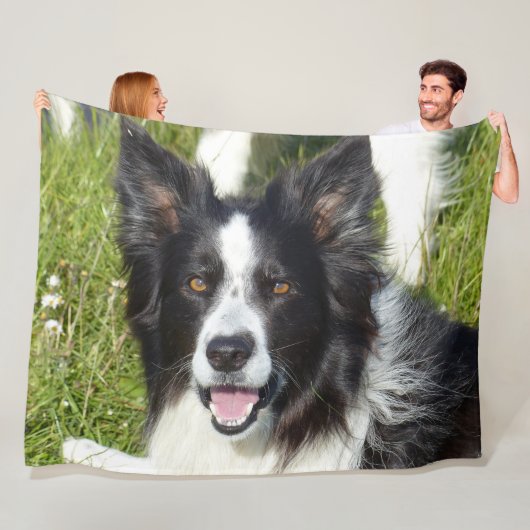 BORDER COLLIE, SCHOONHEID EN HERSENEN FLEECE DEKEN (In situ)