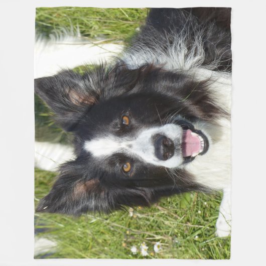 BORDER COLLIE, SCHOONHEID EN HERSENEN FLEECE DEKEN (Voorkant)