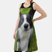 Border Collie Schort (Insitu)