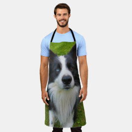 Border Collie Schort