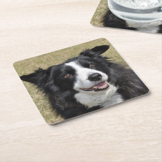 Border collie servetten kartonnen onderzetters (Schuin)