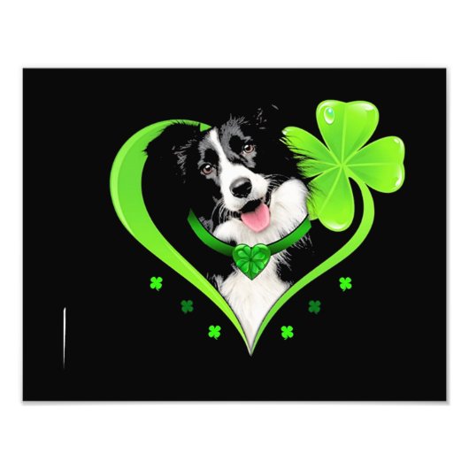 Border Collie Shamrock Heart Foto Afdruk (Voorkant)