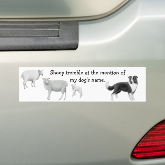 Border Collie & Sheep Herding Bumpersticker (Op auto)