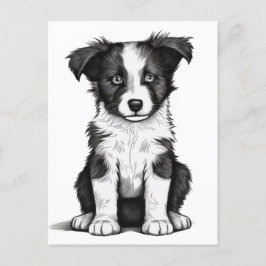 Border Collie Sheepdog Australian Shephard Puppy Briefkaart