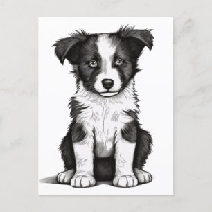 Border Collie Sheepdog Australian Shephard Puppy Briefkaart